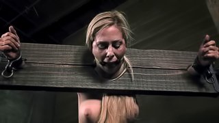 Best-looking blonde in the city receives a hard BDSM treatment